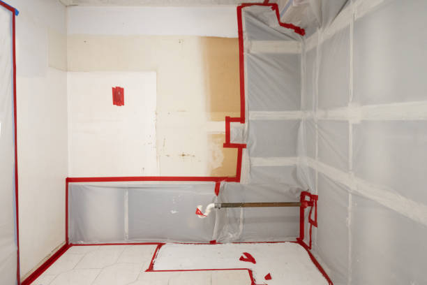 Best Comprehensive Air Testing for Mold Contaminants  in Giddings, TX